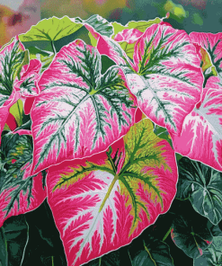 Caladium Vibrant Leaves Diamond Painting