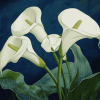 Calla Lilies Charles Flowers Diamond Painting