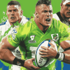 Canberra Raiders Footballers Diamond Painting