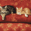 Cats Relaxing on Red Sofa Diamond Painting