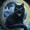 Celtic Black Cat Moon Diamond Painting