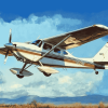 Cessna 182 Airplane Diamond Painting