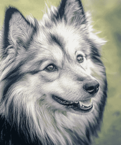 Charming Keeshond Puppy Diamond Painting