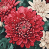 Chinese Chrysanthemums Blossoms Diamond Painting