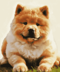 Chow Chow Dog Diamond Painting