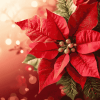 Christmas Poinsettia Blossoms Diamond Painting