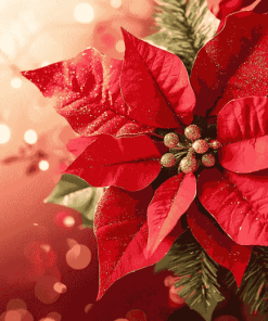 Christmas Poinsettia Blossoms Diamond Painting