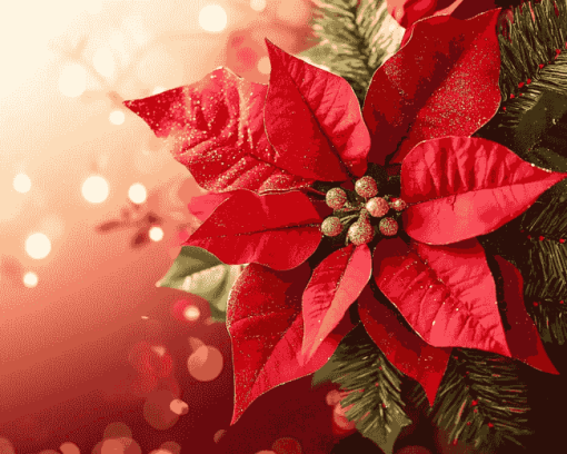 Christmas Poinsettia Blossoms Diamond Painting