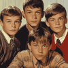 Classic TV Characters My Three Sons Diamond Painting