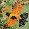 Colorful Baltimore Oriole Diamond Painting