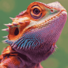 Colorful Bearded Dragon Diamond Painting