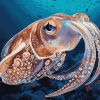 Colorful Cuttlefish Diamond Painting