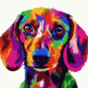 Colorful Dachshund Puppy Diamond Painting