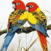 Colorful Eastern Rosellas Diamond Painting