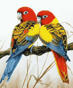 Colorful Eastern Rosellas Diamond Painting