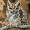 Colorful Eastern Screech Owl Diamond Painting