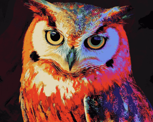 Colorful Night Owl Diamond Painting