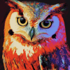 Colorful Night Owl Diamond Painting