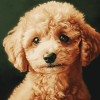 Corgi Poodle Puppy Diamond Painting