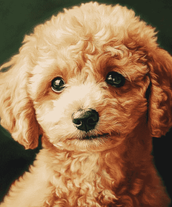 Corgi Poodle Puppy Diamond Painting