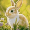 Cute Bunny Rabbit Diamond Painting