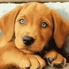 Cute Fox Labrador Puppy Diamond Painting