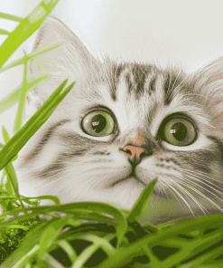 Cute Kitty Plant Diamond Painting