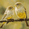 Cute Moineau Bird Diamond Painting