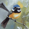 Cute New Zealand Bird Diamond Painting