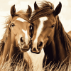 Cute Sable Island Ponies Diamond Painting