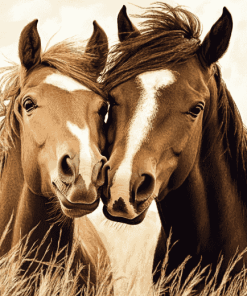 Cute Sable Island Ponies Diamond Painting