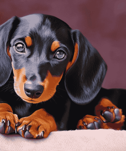 Dachshund Miniature Puppies Diamond Painting