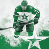 Dallas Stars Logo Ice Hockey Diamond Painting