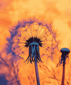 Dandelion Silhouette Sunset Diamond Painting