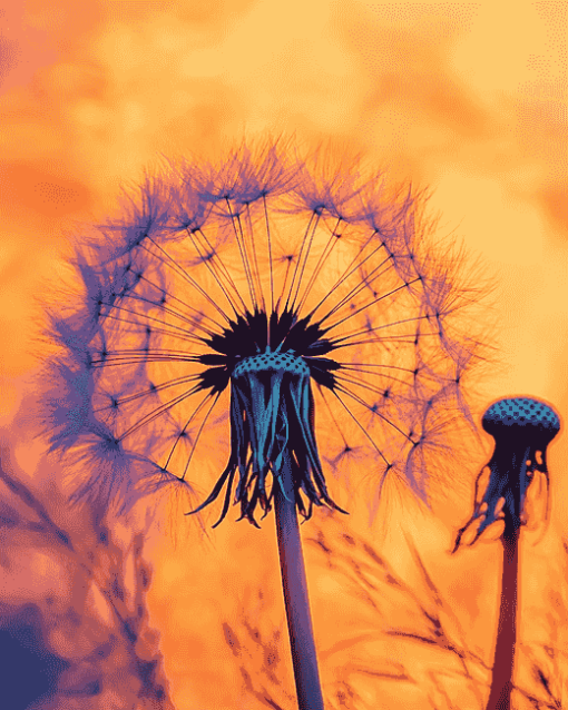 Dandelion Silhouette Sunset Diamond Painting