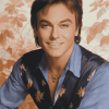 David Cassidy Celebrity Art Diamond Painting