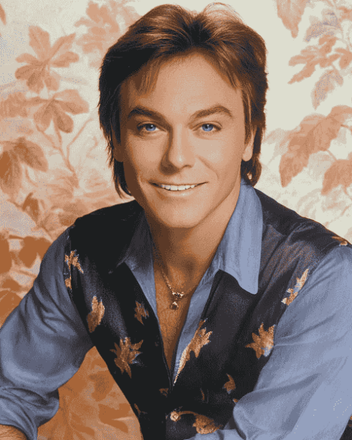 David Cassidy Celebrity Art Diamond Painting