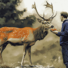 Deer and Elk Diamond Painting