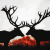 Elks in Silhouette Diamond Painting