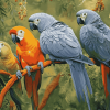 Exotic African Parrot Diamond Painting