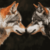 Face to Face Wolves Diamond Painting