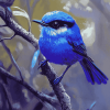 Fairy Wren Birds Diamond Painting