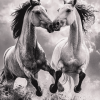 Fighting Horses Monochrome Diamond Painting