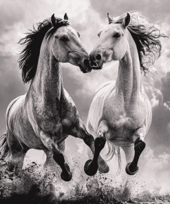 Fighting Horses Monochrome Diamond Painting