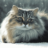 Fluffy Siberian Kitty Diamond Painting