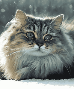 Fluffy Siberian Kitty Diamond Painting