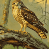 Forest Hawk Birds Diamond Painting