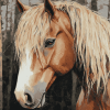 Forest Horse Diamond Painting