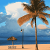 Fort Lauderdale Beach Seascape Diamond Painting