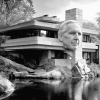 Frank Lloyd Wright Black White Diamond Painting